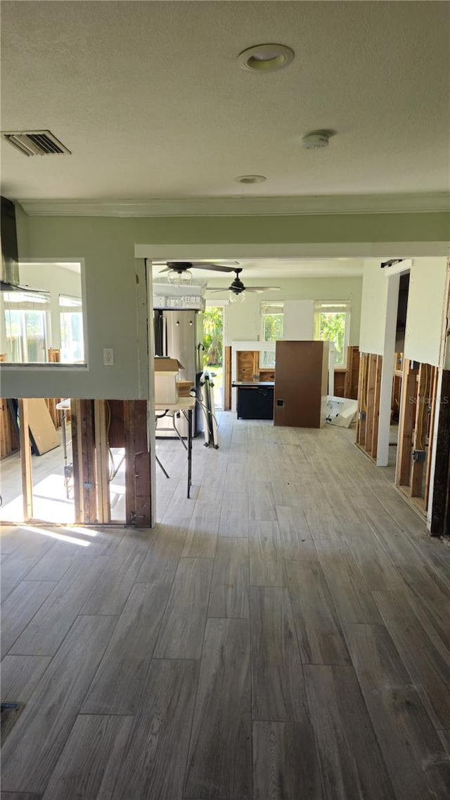 hall featuring plenty of natural light, ornamental molding, and hardwood / wood-style flooring