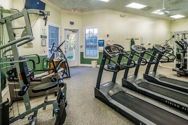 workout area featuring carpet, a drop ceiling, and crown molding