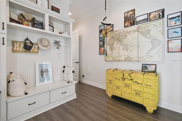 mudroom with dark hardwood / wood-style floors and crown molding