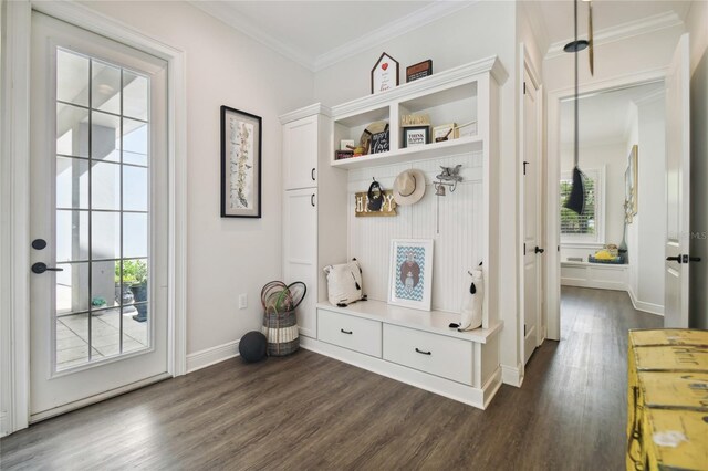 mudroom with dark hardwood / wood-style flooring and crown molding