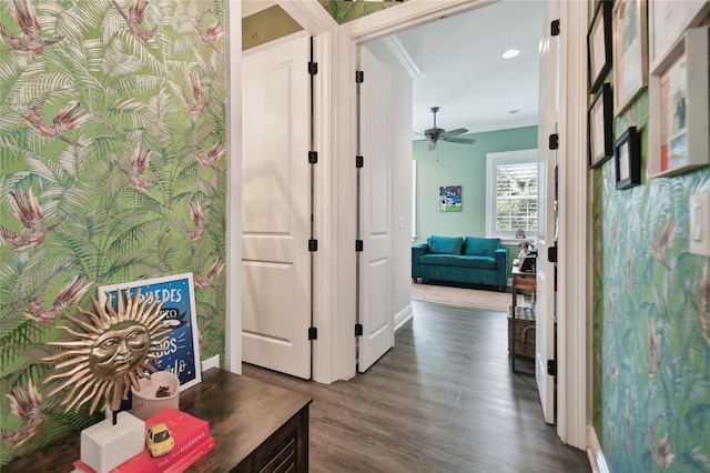 hallway featuring ornamental molding and dark wood-type flooring