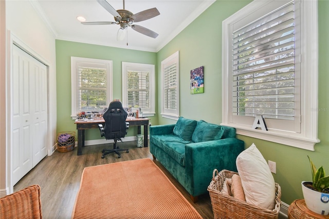 home office with ornamental molding, wood-type flooring, and ceiling fan