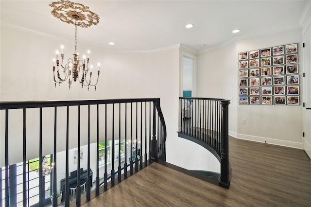 hallway featuring ornamental molding, dark hardwood / wood-style flooring, a healthy amount of sunlight, and an inviting chandelier