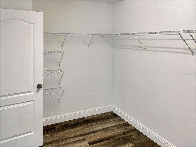 walk in closet with hardwood / wood-style floors