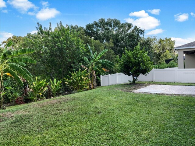 view of yard with a patio area