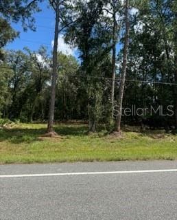 8350 Treiman Blvd, Webster FL, 33597 land for sale