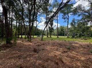 Listing photo 2 for 8350 Treiman Blvd, Webster FL 33597