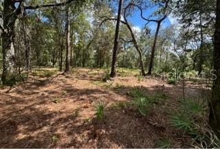 Listing photo 3 for 8350 Treiman Blvd, Webster FL 33597