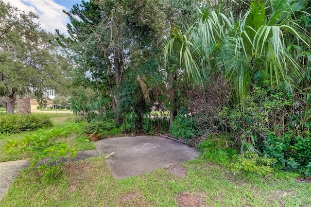 view of yard featuring a patio