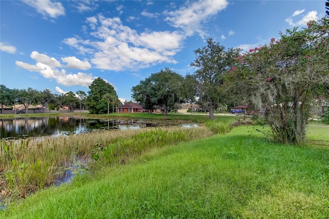 view of yard featuring a water view