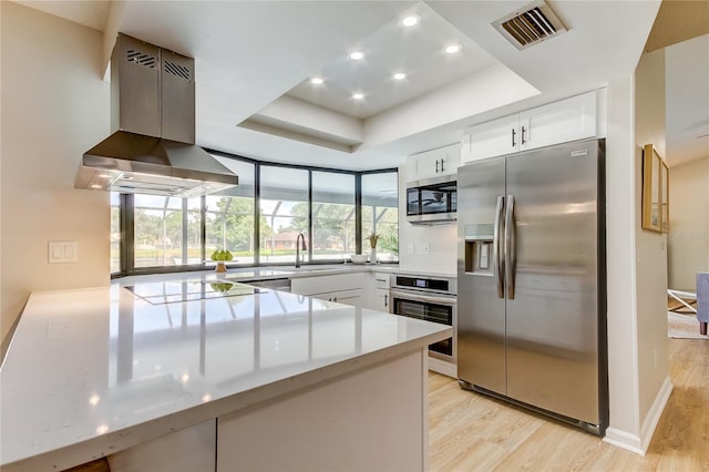 kitchen with exhaust hood, stainless steel appliances, a raised ceiling, and white cabinetry