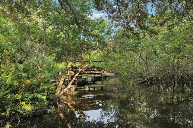 view of nature featuring a water view