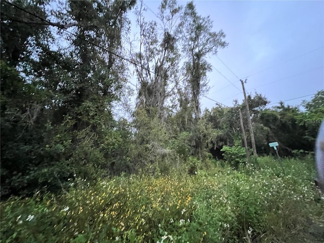 9959 Gilbert St, New Port Richey, FL 34654