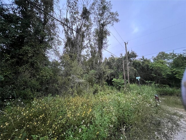 9959 Gilbert St, New Port Richey, FL 34654