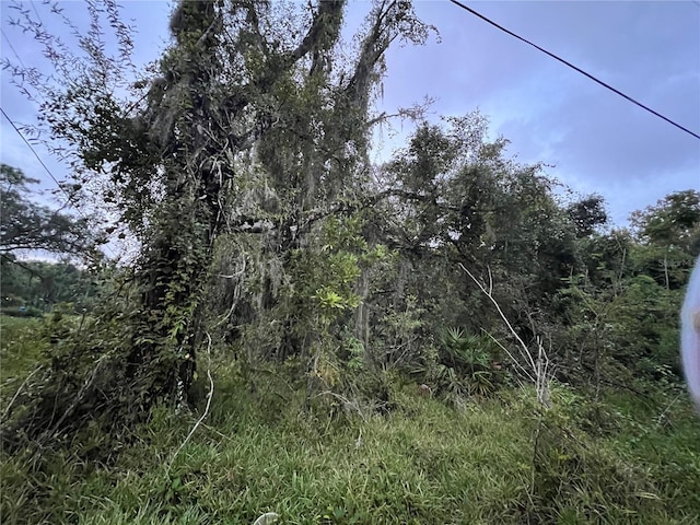 9959 Gilbert St, New Port Richey, FL 34654