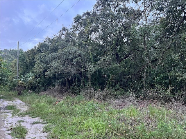 9959 Gilbert St, New Port Richey, FL 34654