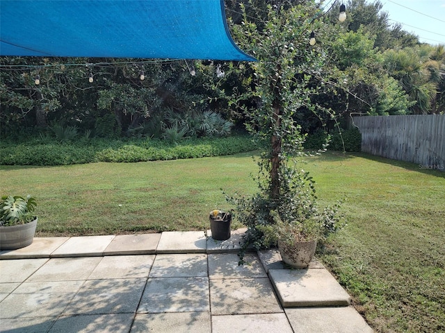 view of yard with a patio