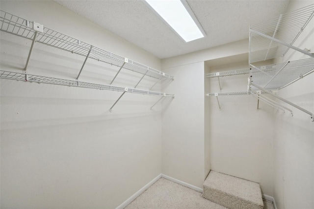 spacious closet with carpet floors