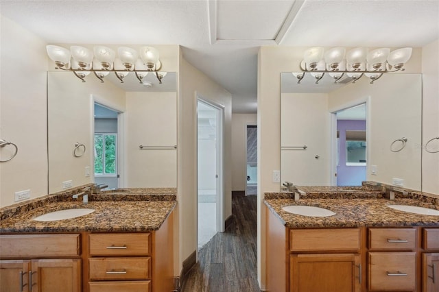 bathroom with hardwood / wood-style floors and vanity