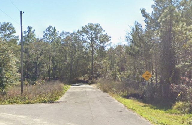 SE 91 Court Rd, Summerfield FL, 34491 land for sale