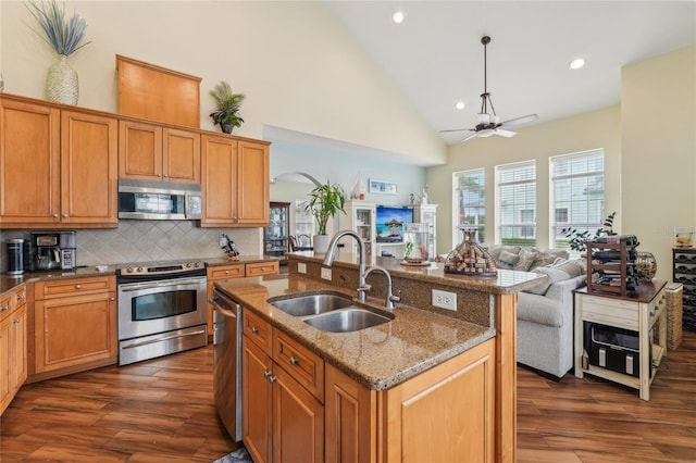 kitchen with dark hardwood / wood-style floors, sink, ceiling fan, and stainless steel appliances