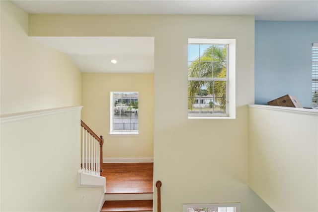 stairway with hardwood / wood-style floors and a wealth of natural light