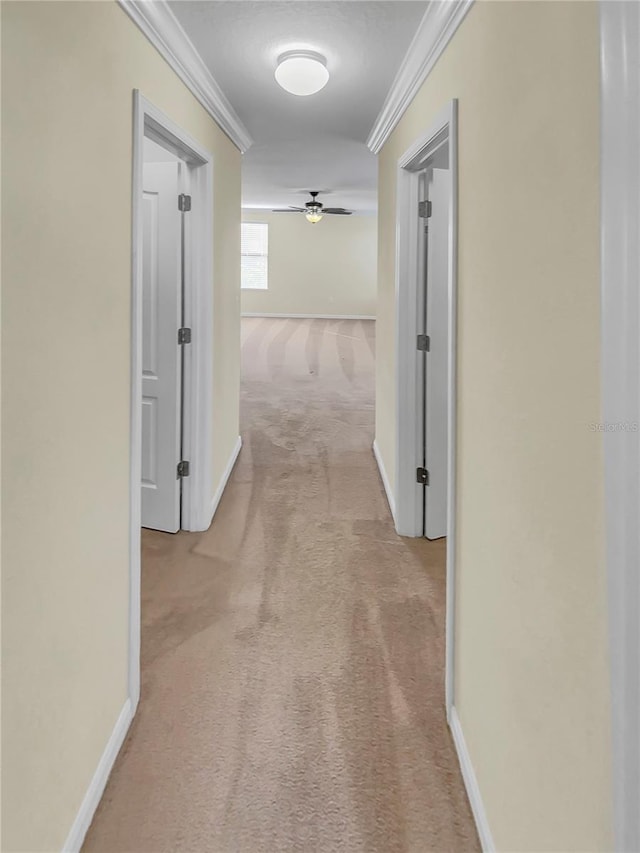 hall featuring light colored carpet and crown molding