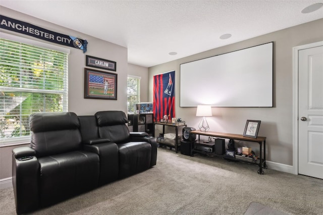 carpeted cinema with a textured ceiling and a wealth of natural light