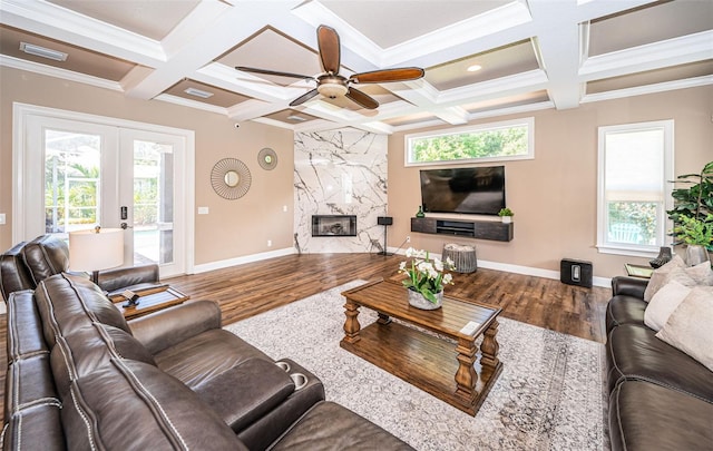 living room featuring hardwood / wood-style floors, a premium fireplace, and plenty of natural light