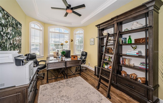 office space with ornamental molding, a tray ceiling, ceiling fan, and dark hardwood / wood-style floors