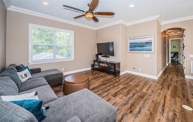 living room featuring ceiling fan, dark wood-type flooring, and crown molding