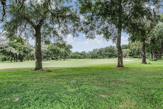 view of community with a lawn