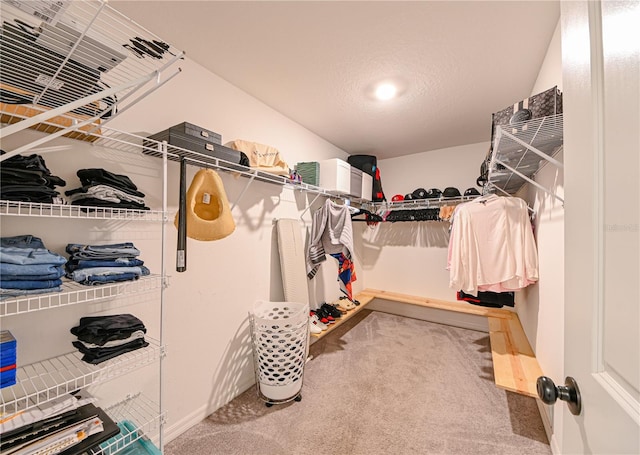 spacious closet with carpet