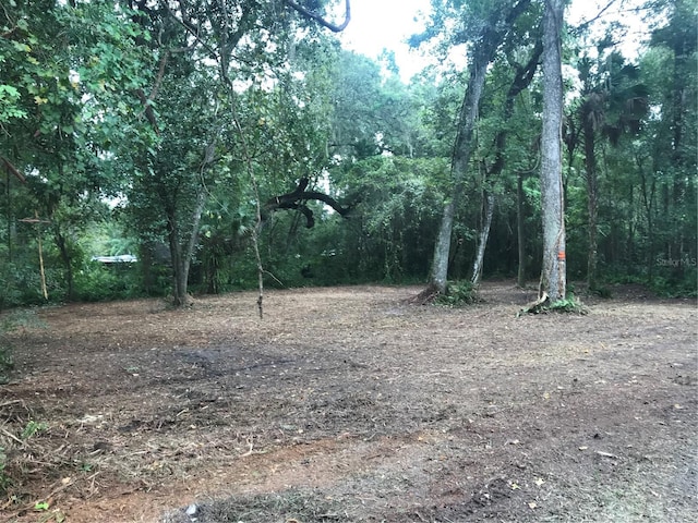 SW 35th Dr, Webster FL, 33597 land for sale