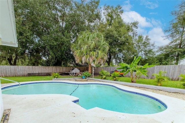 view of swimming pool featuring a patio