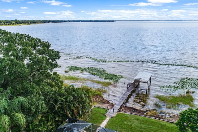 water view with a dock