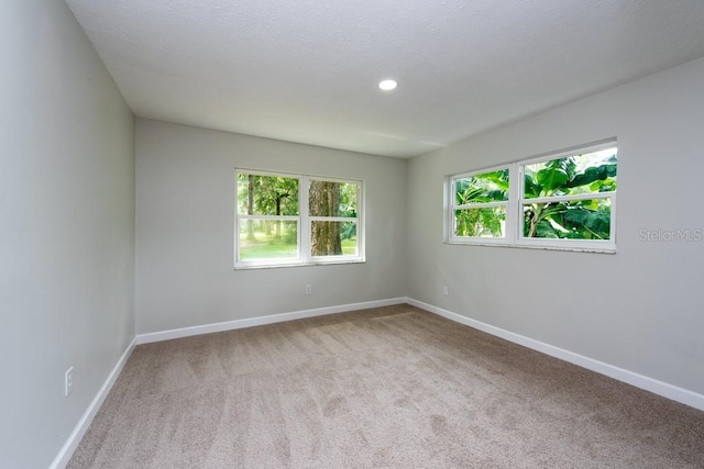 carpeted empty room with a textured ceiling