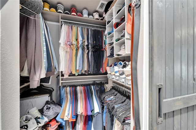 view of spacious closet