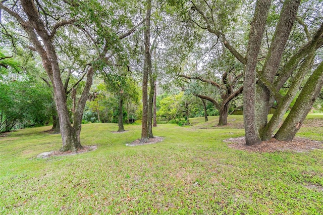 view of green lawn