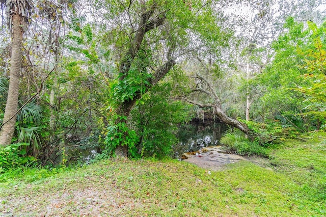 view of yard with a forest view