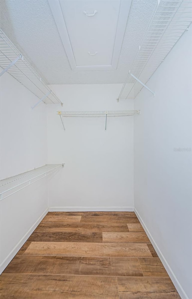 walk in closet with hardwood / wood-style flooring