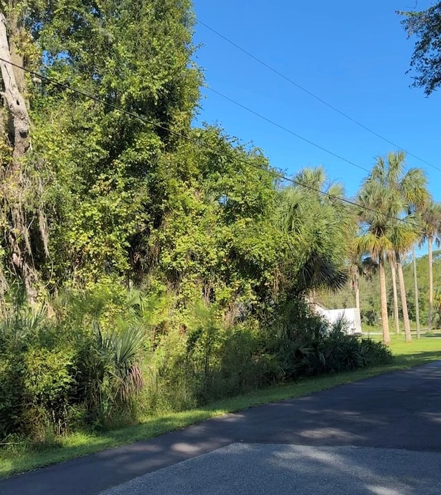 11170 W Cedar Lake Dr, Crystal River FL, 34428 land for sale