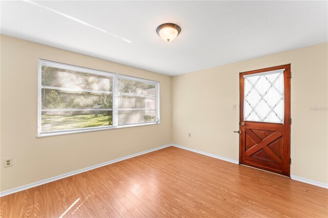 foyer entrance featuring light hardwood / wood-style floors and plenty of natural light