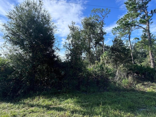 18367 Harrison Ave, Port Charlotte FL, 33954 land for sale