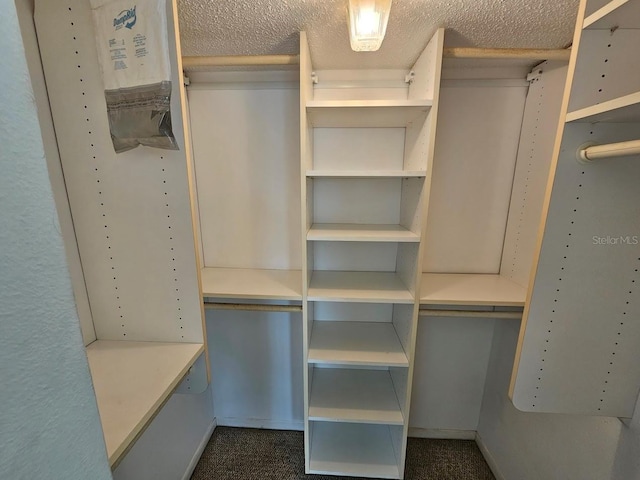 walk in closet featuring dark colored carpet