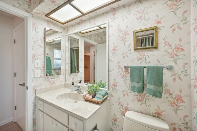 bathroom with toilet and vanity