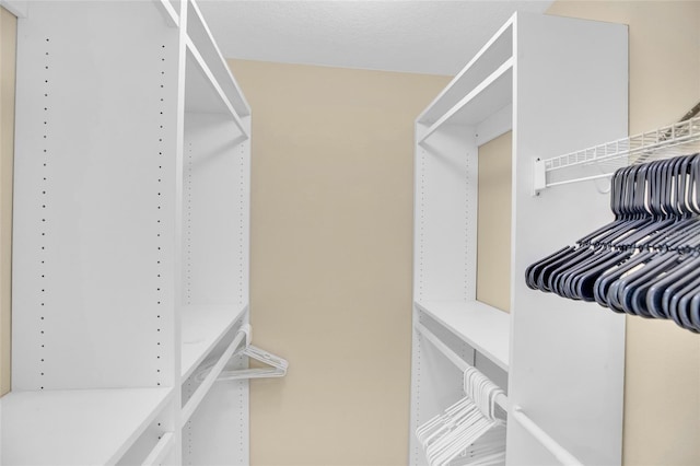 view of walk in closet