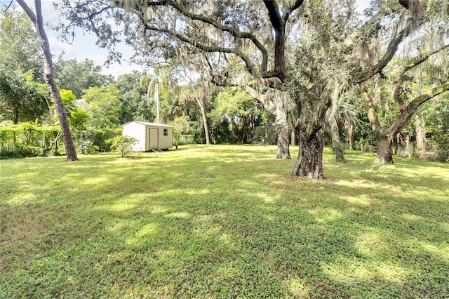 view of yard with a shed