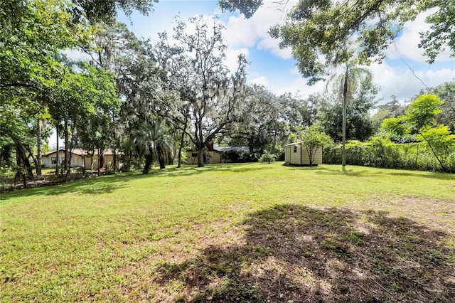 view of yard featuring a storage unit