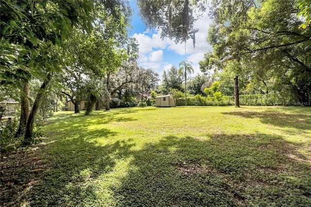 view of yard featuring a storage shed